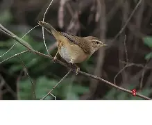 爱游戏app下载-暮頣KQS	)?嗁!鹬醶>WR覹"~3輱禍U79@僔犓](1\'G